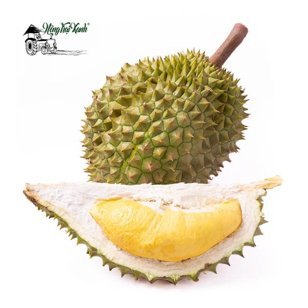 Sầu Rieng Ri6 Nong Trại Xanh