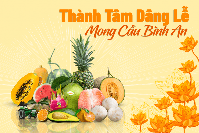 Ý NGHĨA DÂNG DỪA CÚNG PHẬT - Nông Trại Xanh