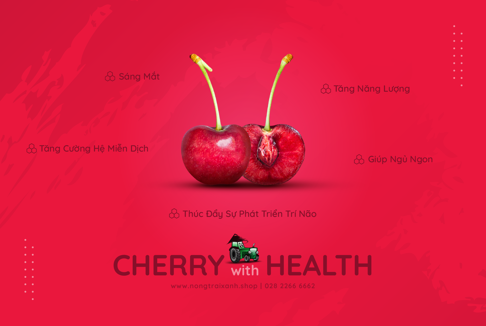 Tất Tần Tật Về Cherry – Trái Nhỏ Giàu Dưỡng Chất Cho Sức Khỏe