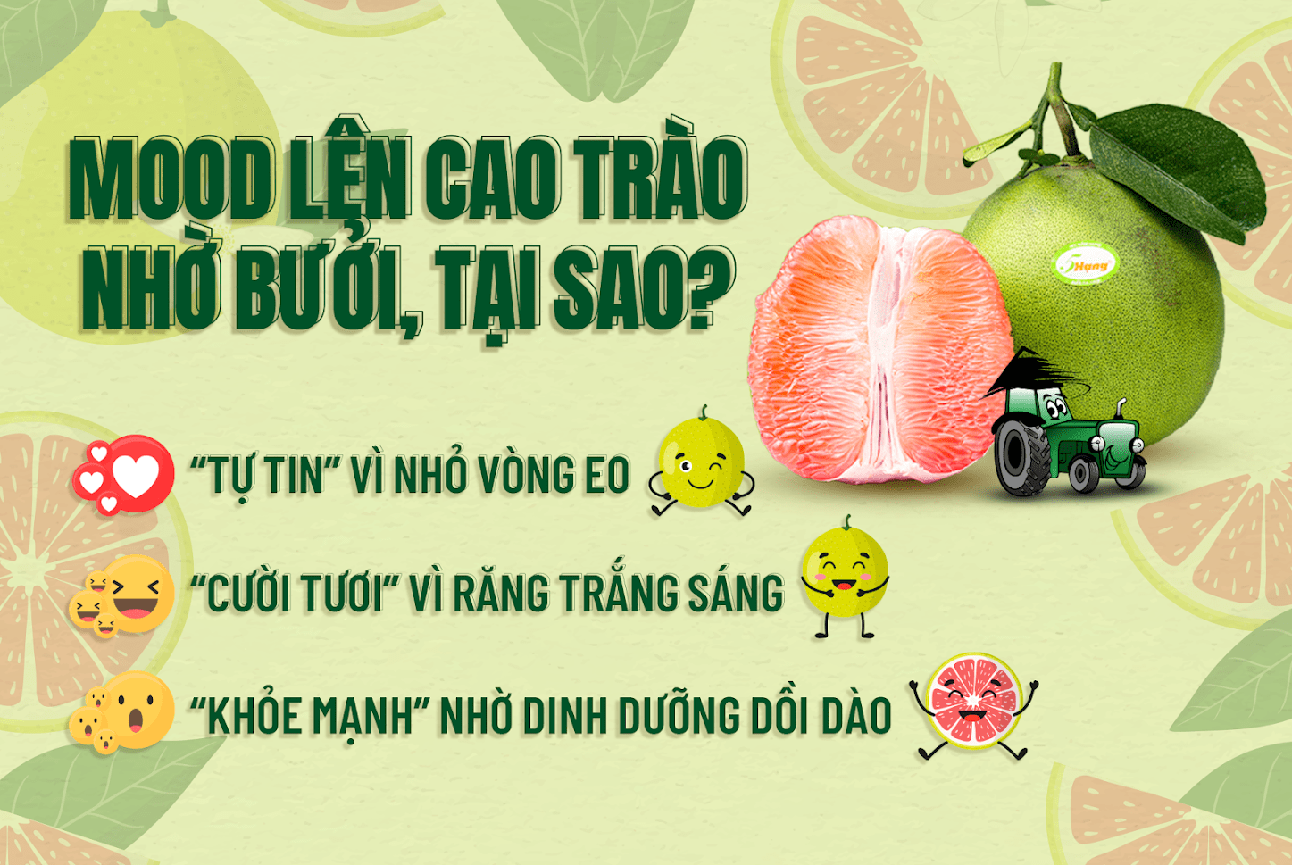 7 CHỨC NĂNG TO LỚN CHỈ TRONG MỘT QUẢ BƯỞI NHỎ