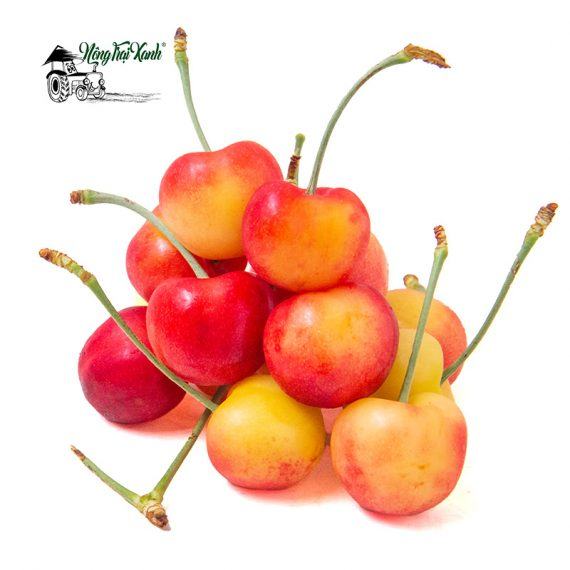 cherry vang my 3