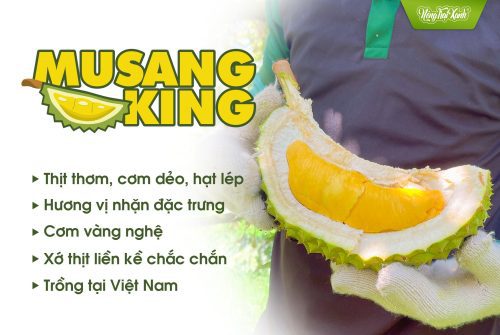 Sầu Riêng Musang King