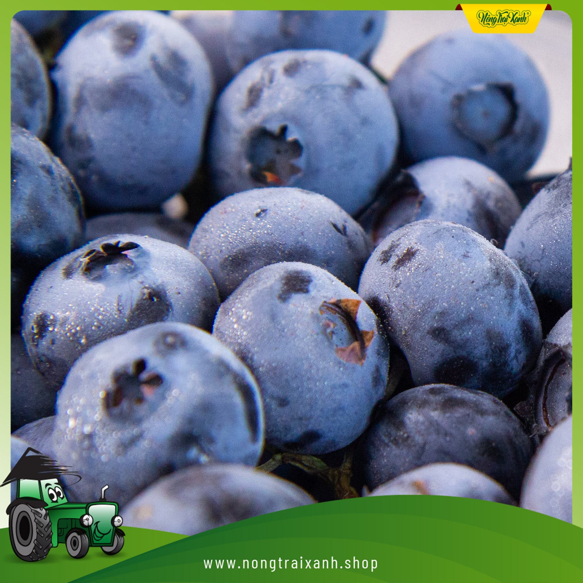 Tươi Trẻ & Mạnh Khỏe Nhờ Blueberry