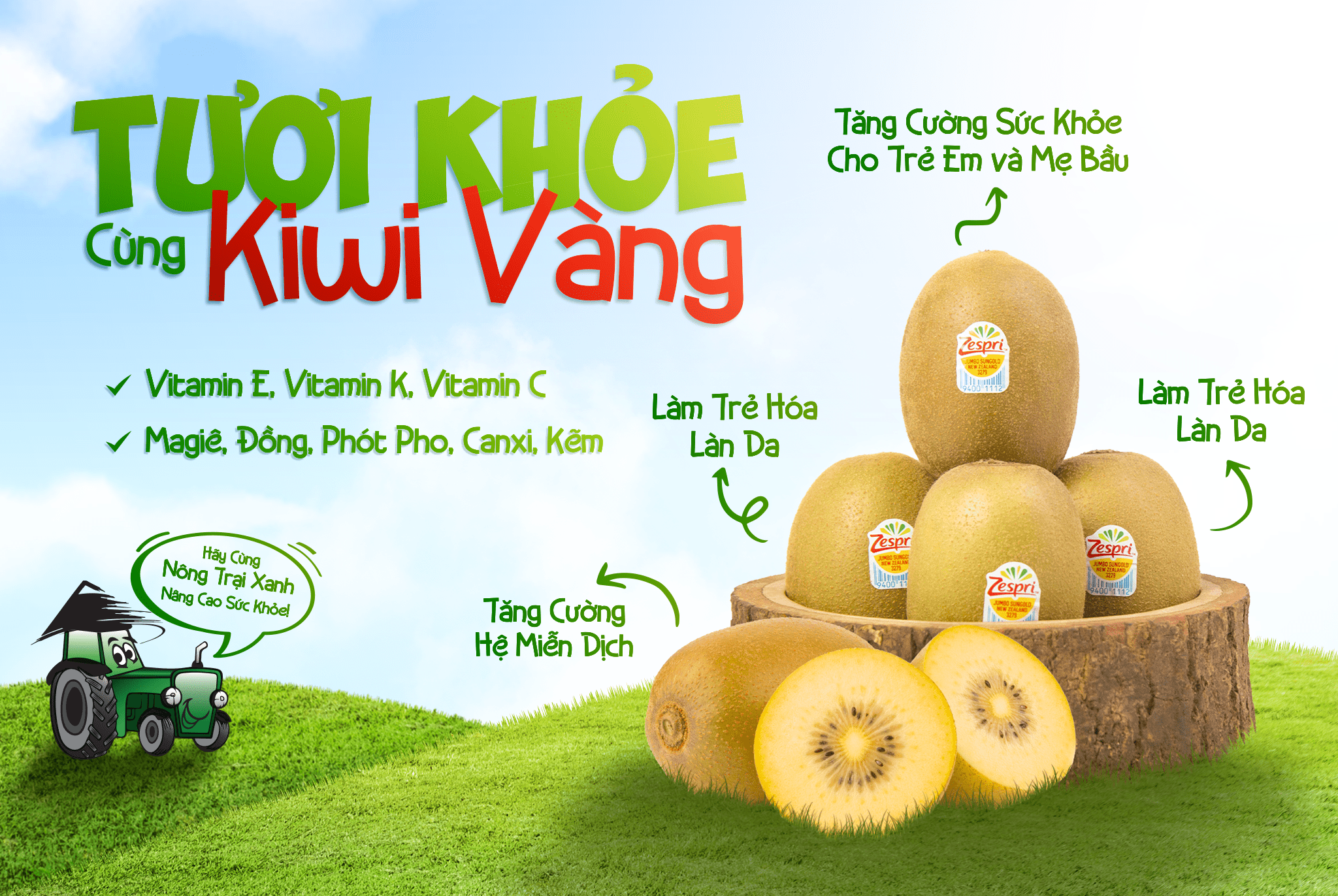 Kiwi – Top 3 Công Thức Giảm Cân Hiệu Quả