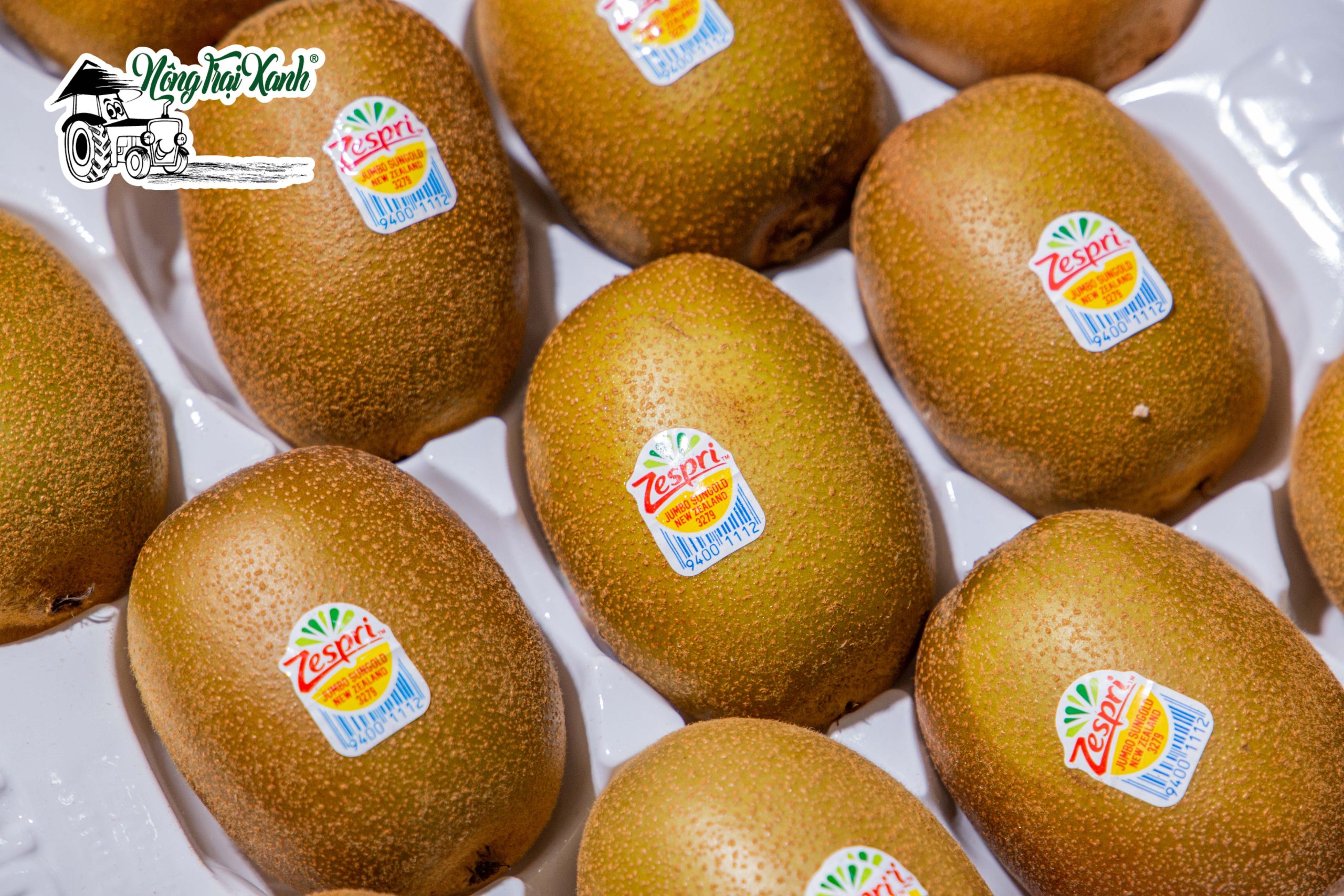 TOP 3 LOẠI KIWI ZESPRI BẠN ĐÃ BIẾT?