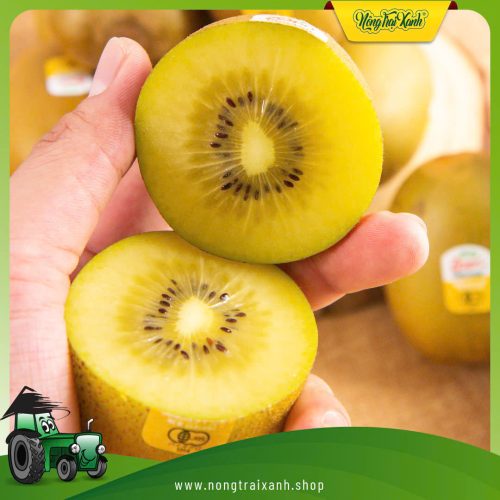 Kiwi Zespri vàng hữu cơ