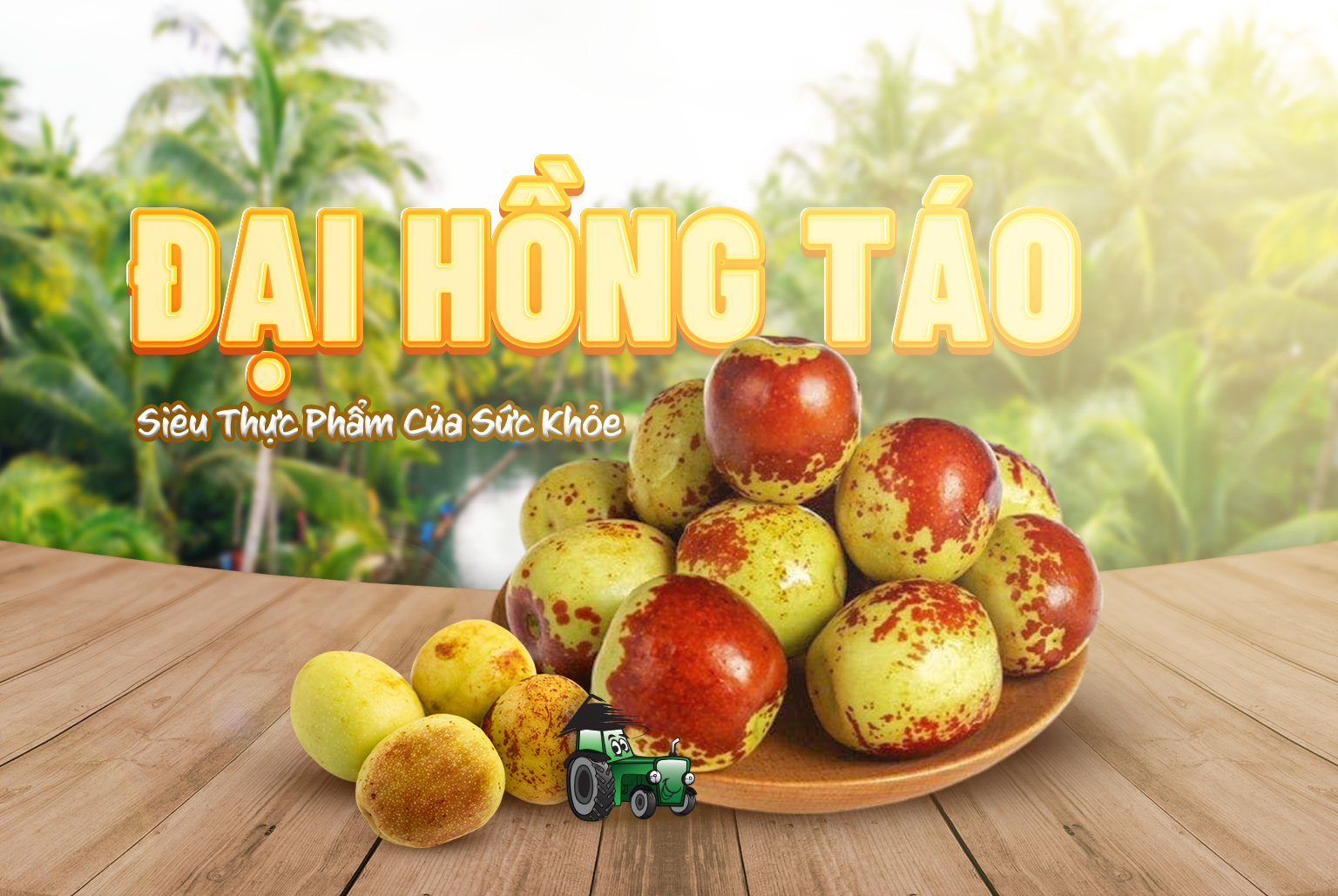 Đại Hồng Táo – Siêu Thực Phẩm Của Sức Khỏe