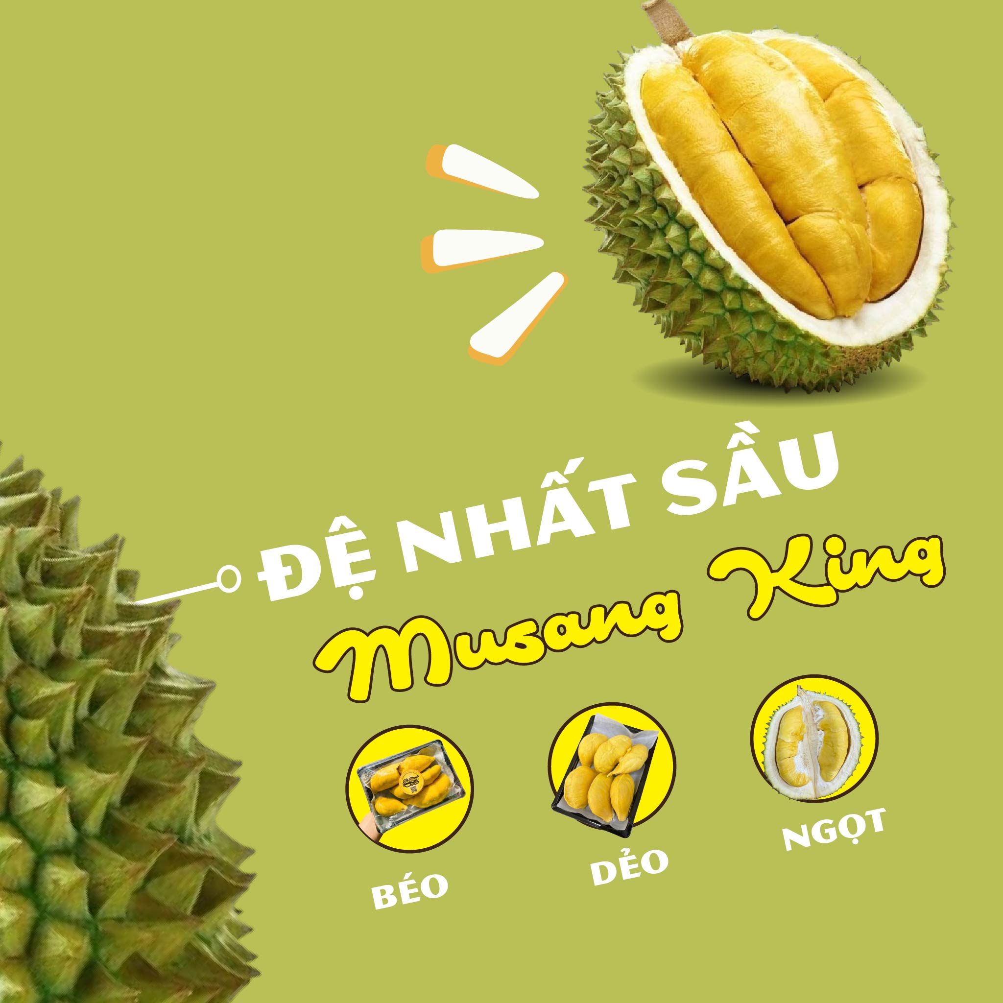TIỂU SỬ LOẠI SẦU NGON NHẤT THẾ GIỚI – MUSANG KING