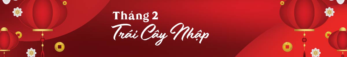 Trái Cây Việt Nam Ngon - Tươi Sạch - Chất Lượng Cao 28 ngangweb t2 02