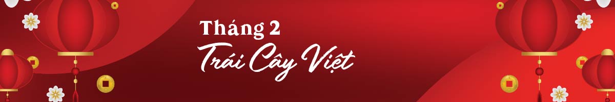 Trái Cây Việt Nam Ngon - Tươi Sạch - Chất Lượng Cao 13 ngangweb t2 04
