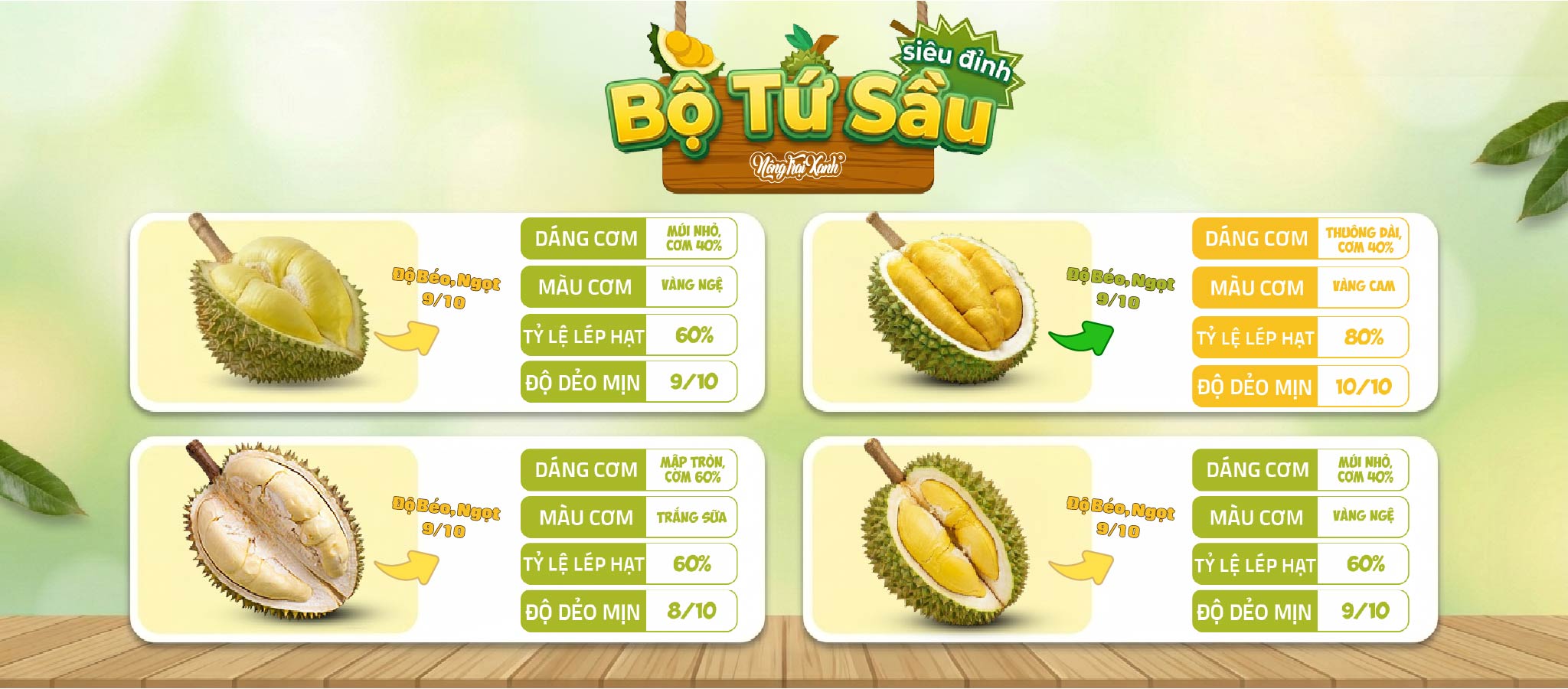 saubannerweb